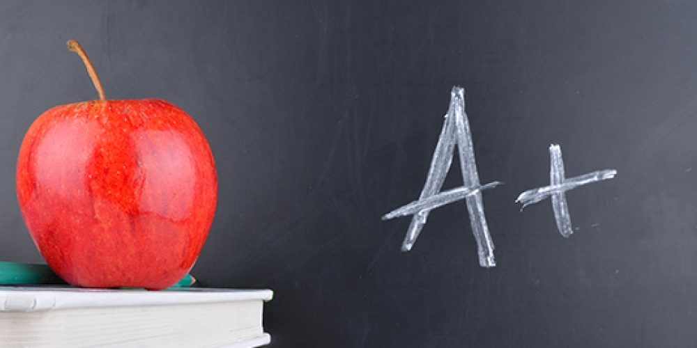 Μικρογραφία εισόδου